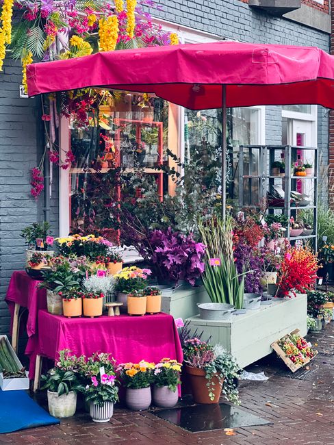 A vibrant flower stall situated outside a shop on Camberley High Street, arranged under a large pink canopy. The display features a variety of fresh flowers, including purple azaleas, bright yellow an
