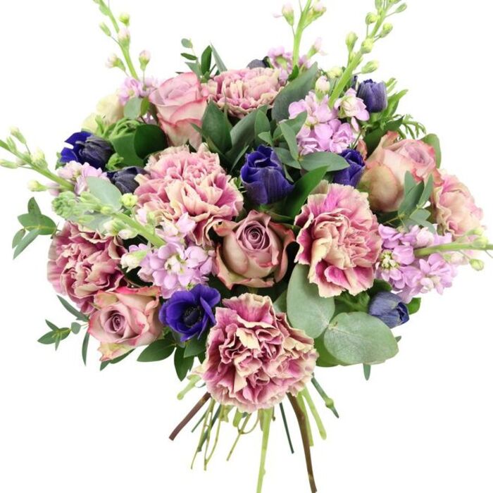 Set cleanly against a plain white background, this hand-tied bouquet appears as a lush, sculpted dome of colour and texture, as though freshly arranged in a Camberley studio before heading out for delivery. At its core, large garden roses in dusty rose, blush pink, and soft mauve unfold in generous layers, each petal curving outward to create that classic romantic swirl you might choose for an intimate anniversary dinner near Camberley Theatre. Interlaced with the roses are abundant ruffled carnations, their petals finely frilled and multi-tonal: creamy centres gently blush into rose and then intensify into deeper pink and plum along the tips, adding both volume and softness. Cutting through these rosy shades, rich royal blue and deep indigo flowers provide dramatic contrast; among them, a single open anemone with a velvety, almost black centre catches the eye like a focal gemstone towards the lower edge. Emerging gracefully through the body of the bouquet are slender stalks of lilac and pale lavender stock, dotted with small clustered blossoms that lend height, lightness, and a countryside charm reminiscent of cottage gardens on the outskirts of Camberley. A generous collar of mixed foliage frames the flowers: dark green, glossy rose leaves give structure, while round, silvery-green eucalyptus leaves introduce a cooler tone and a suggestion of refreshing fragrance. The stems below are clearly visible and neatly bound, showing this is a freshly cut, hand-crafted bouquet rather than a mass-produced arrangement. Overall, the design balances romantic pinks, serene purples, bold blues, and fresh greens, making it suitable for weddings, thoughtful birthday surprises, or a graceful sympathy gesture delivered to homes, offices, or venues across Camberley.
